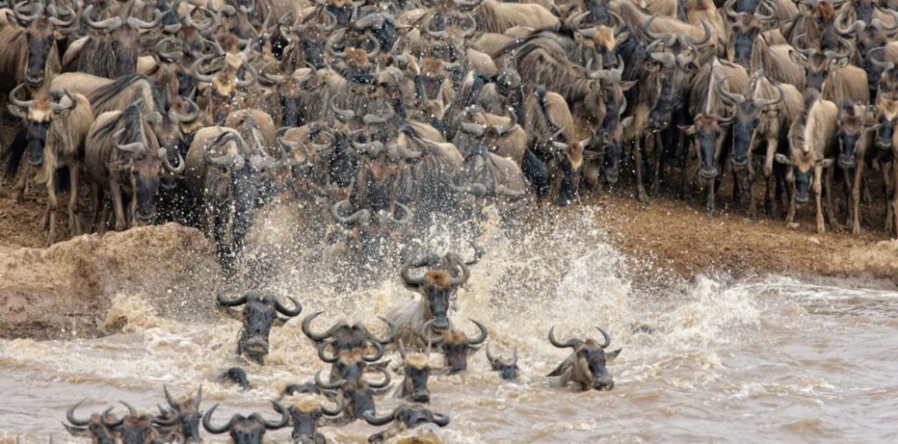 Mara River 3 1024x683 1