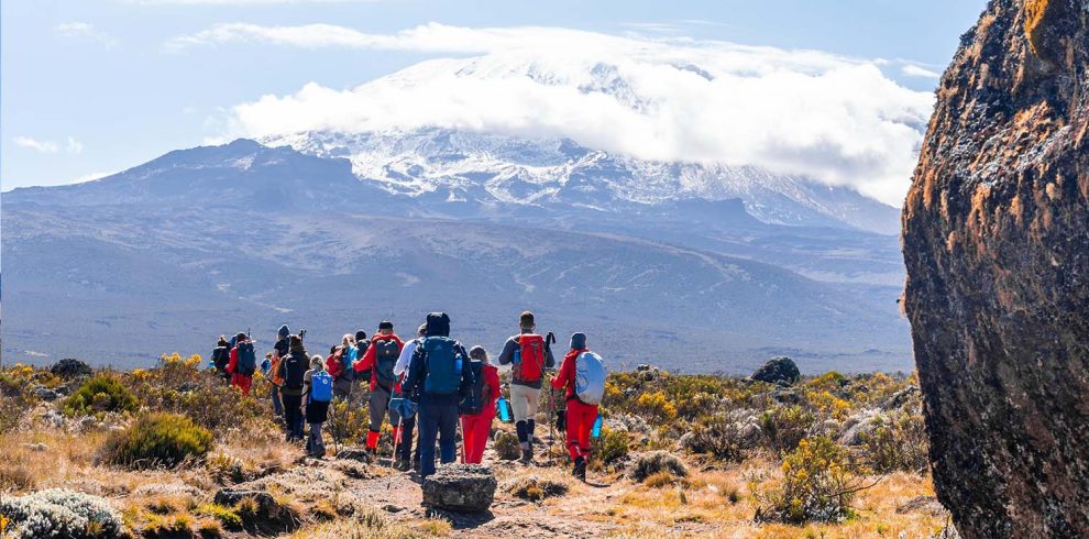 trekking mt kilimanjaro